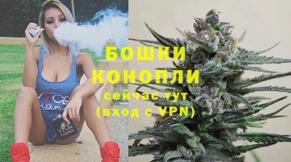 твердый Белокуриха