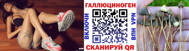 Галлюциногенные грибы мицелий  OMG зеркало  Покровск  что такое наркотик 